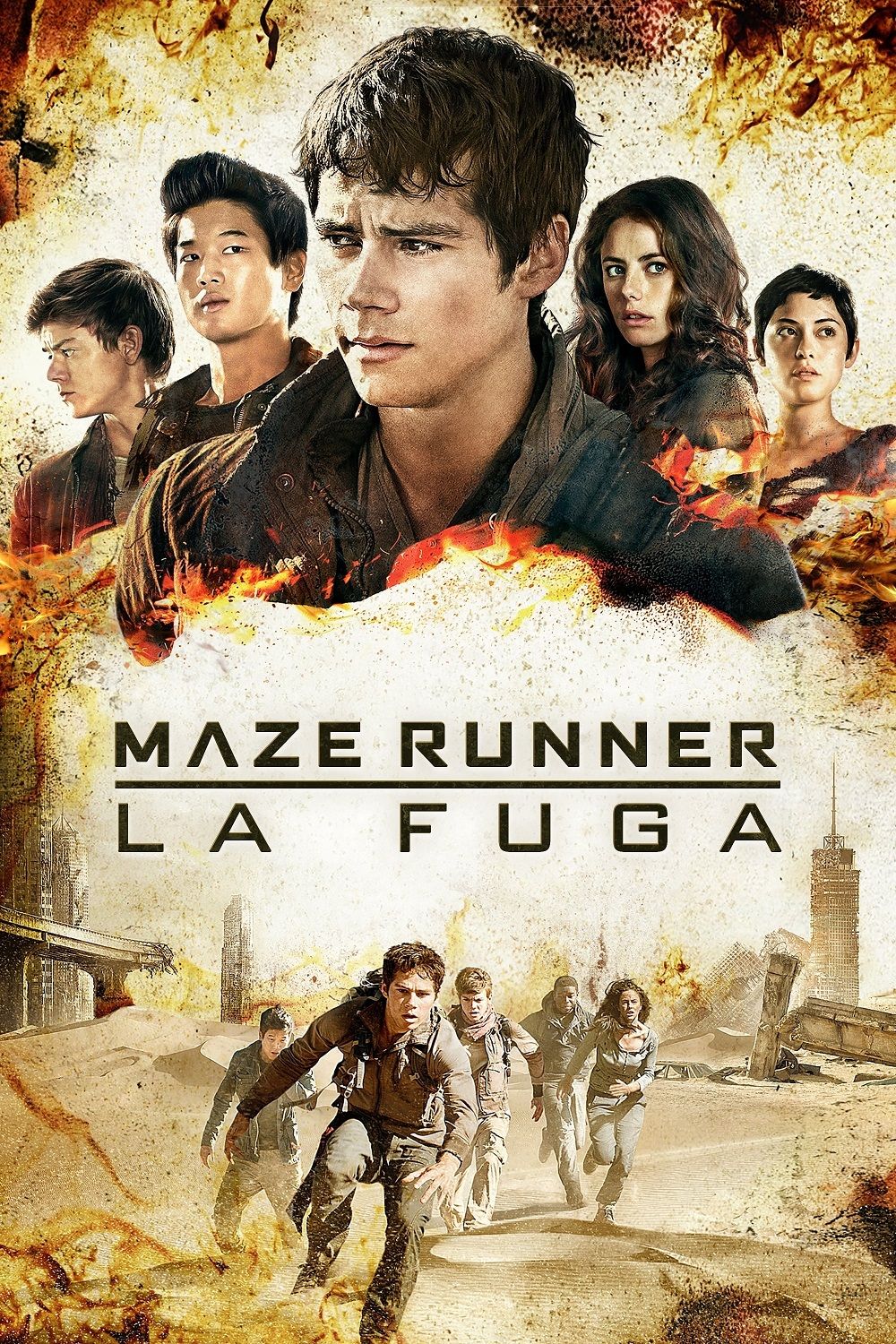 Copertina Film Maze Runner 2: La Fuga Streaming FULL HD 