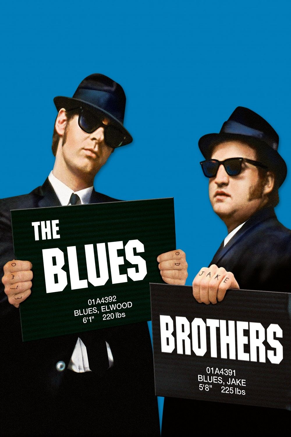 Copertina Film The Blues Brothers Streaming FULL HD 